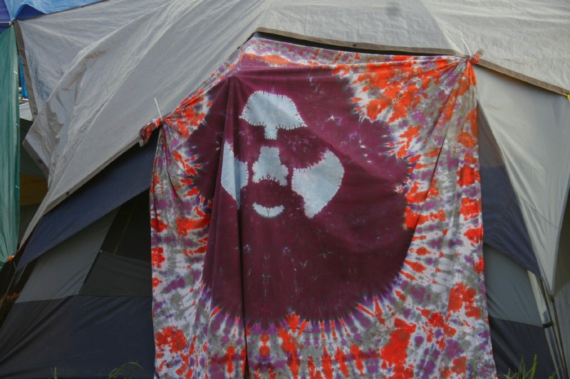 Bonnaroo_06