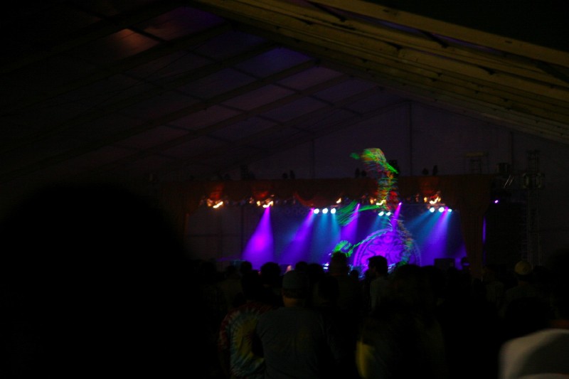 Bonnaroo_29
