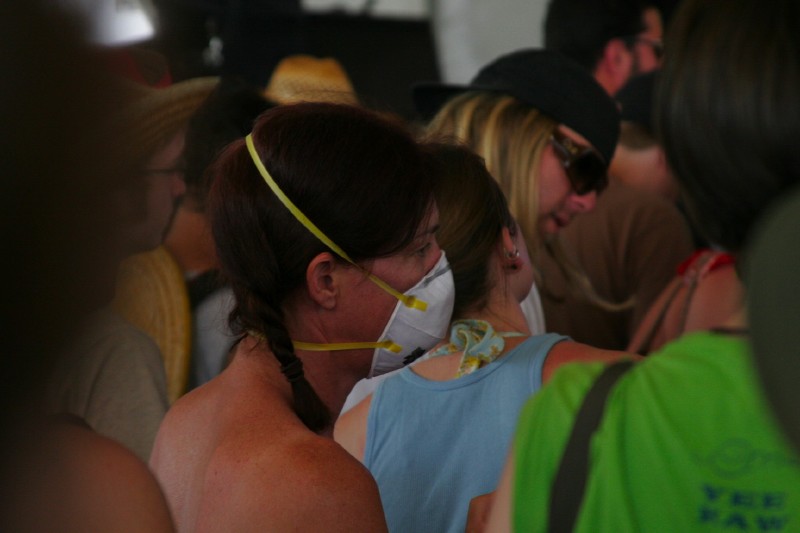 Bonnaroo_31