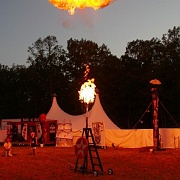 Bonnaroo_15