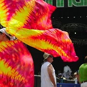 Bonnaroo_26