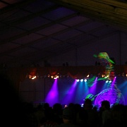 Bonnaroo_29