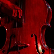 Bonnaroo_39